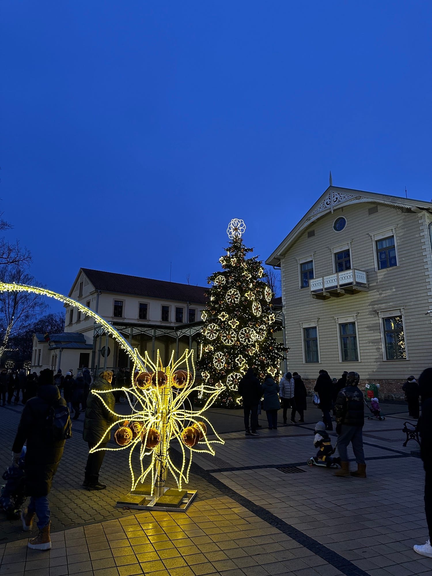 People in Palanga by the chritmas tree on their winter holidays in Lithuania