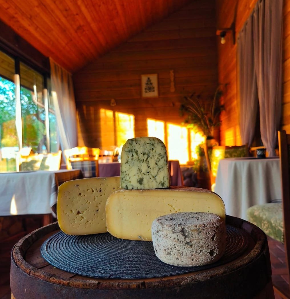 Selection of artisanal cheeses on a wooden barrel inside a cozy room at Augų ūkis near Druskininkai.