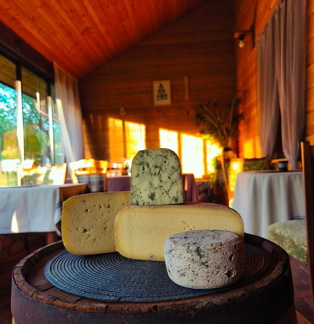 Selection of artisanal cheeses on a wooden barrel inside a cozy room at Augų ūkis near Druskininkai.
