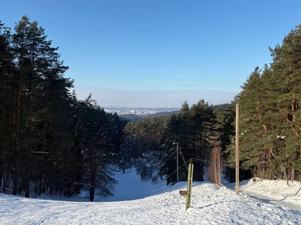 Snowy ski slope lined with pine trees overlooking a distant city skyline in winter