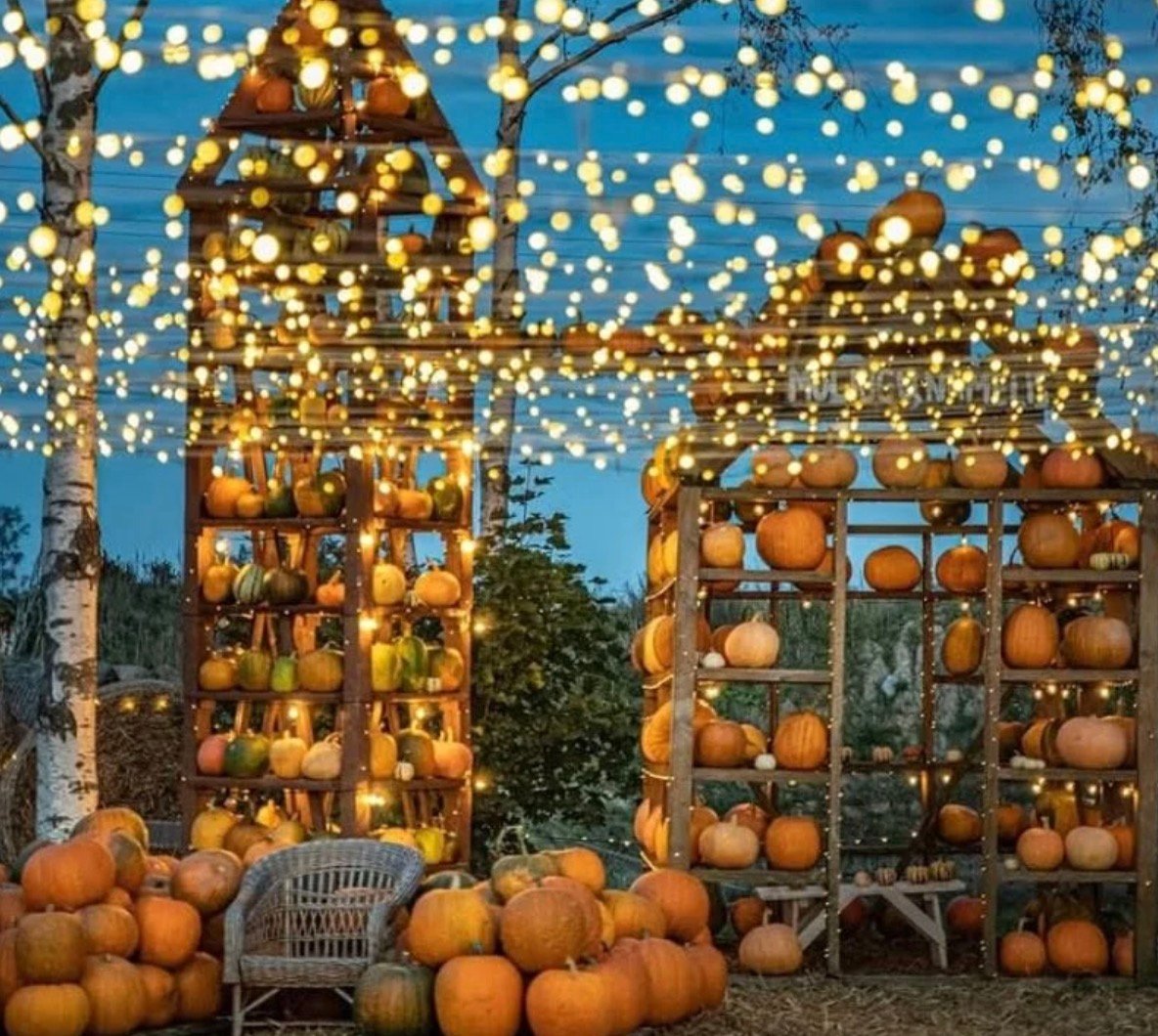 Wooden pumpkin display structures illuminated by festive string lights at dusk.