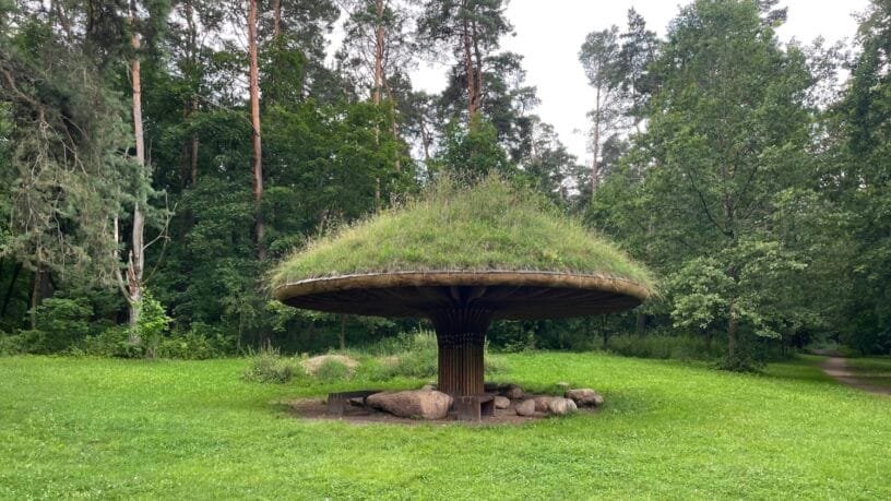 A wooden mushroom-shaped pavilion covered in grass sitting on a sunny forest lawn