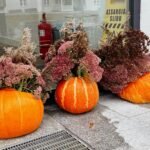Decorative bright orange pumpkins filled with dried flower arrangements outdoors - pumpkin patches in Lithuania.
