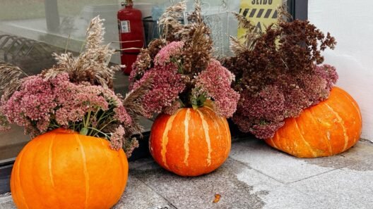 Decorative bright orange pumpkins filled with dried flower arrangements outdoors - pumpkin patches in Lithuania.