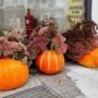 Decorative bright orange pumpkins filled with dried flower arrangements outdoors - pumpkin patches in Lithuania.